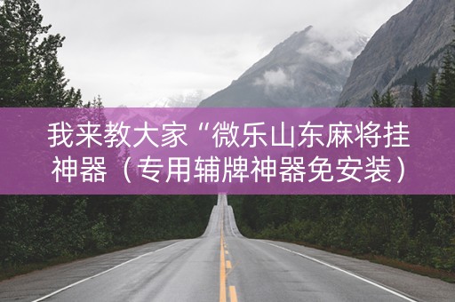 我来教大家“微乐山东麻将挂神器（专用辅牌神器免安装）