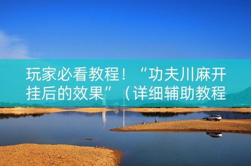玩家必看教程！“功夫川麻开挂后的效果”（详细辅助教程）-哔哩哔哩