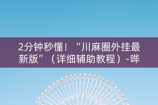 2分钟秒懂！“川麻圈外挂最新版”（详细辅助教程）-哔哩哔哩