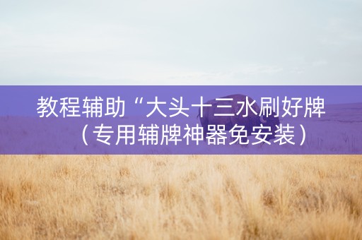 教程辅助“大头十三水刷好牌（专用辅牌神器免安装）
