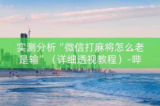 实测分析“微信打麻将怎么老是输”（详细透视教程）-哔哩哔哩