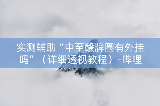 实测辅助“中至赣牌圈有外挂吗”（详细透视教程）-哔哩哔哩
