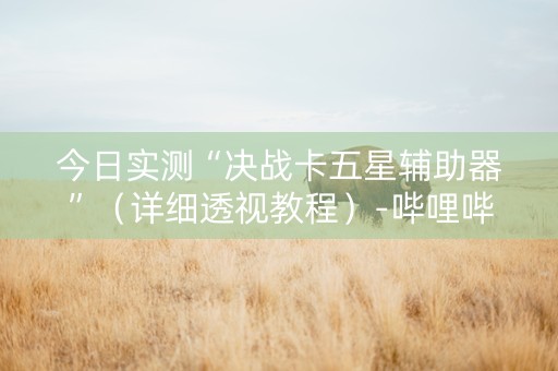 今日实测“决战卡五星辅助器”（详细透视教程）-哔哩哔哩