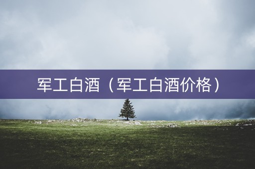 军工白酒（军工白酒价格）