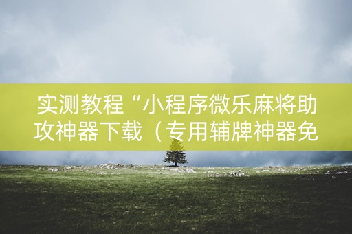 实测教程“小程序微乐麻将助攻神器下载（专用辅牌神器免安装）
