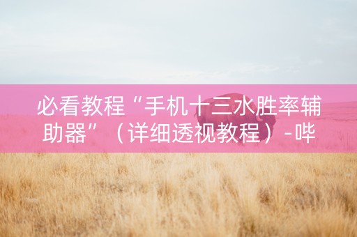 必看教程“手机十三水胜率辅助器”（详细透视教程）-哔哩哔哩