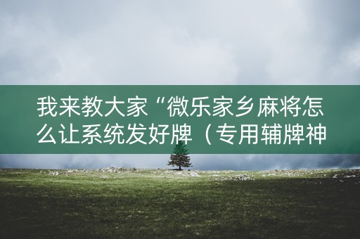 我来教大家“微乐家乡麻将怎么让系统发好牌（专用辅牌神器免安装）