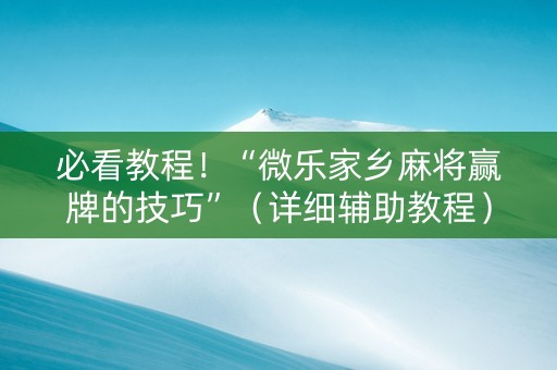 必看教程！“微乐家乡麻将赢牌的技巧”（详细辅助教程）-哔哩哔哩