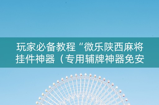 玩家必备教程“微乐陕西麻将挂件神器（专用辅牌神器免安装）