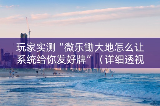 玩家实测“微乐锄大地怎么让系统给你发好牌”（详细透视教程）-哔哩哔哩