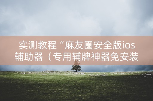 实测教程“麻友圈安全版ios辅助器（专用辅牌神器免安装）