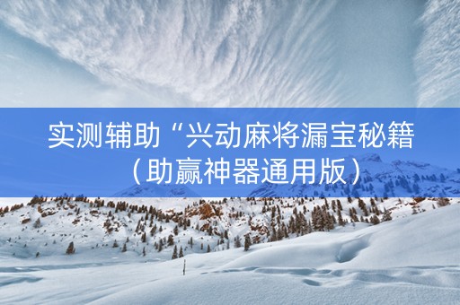 实测辅助“兴动麻将漏宝秘籍（助赢神器通用版）