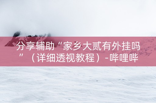 分享辅助“家乡大贰有外挂吗”（详细透视教程）-哔哩哔哩