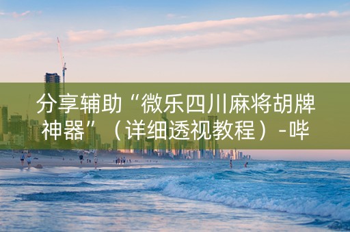 分享辅助“微乐四川麻将胡牌神器”（详细透视教程）-哔哩哔哩