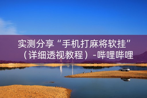实测分享“手机打麻将软挂”（详细透视教程）-哔哩哔哩