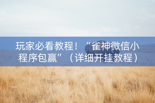 玩家必看教程！“雀神微信小程序包赢”（详细开挂教程）-哔哩哔哩