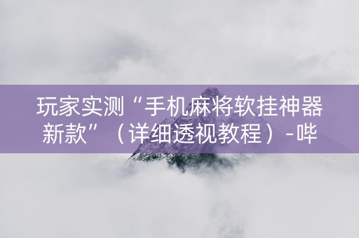玩家实测“手机麻将软挂神器新款”（详细透视教程）-哔哩哔哩