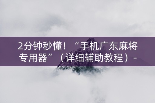 2分钟秒懂！“手机广东麻将专用器”（详细辅助教程）-哔哩哔哩