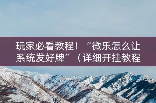 玩家必看教程！“微乐怎么让系统发好牌”（详细开挂教程）-哔哩哔哩