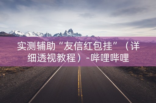 实测辅助“友信红包挂”（详细透视教程）-哔哩哔哩