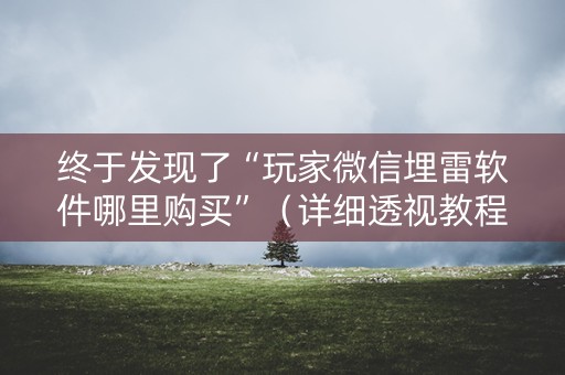终于发现了“玩家微信埋雷软件哪里购买”（详细透视教程）-哔哩哔哩