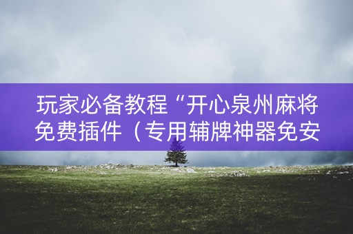 玩家必备教程“开心泉州麻将免费插件（专用辅牌神器免安装）