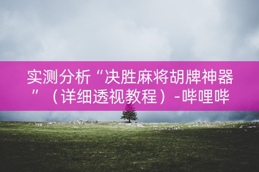 实测分析“决胜麻将胡牌神器”（详细透视教程）-哔哩哔哩