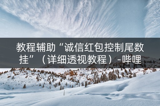 教程辅助“诚信红包控制尾数挂”（详细透视教程）-哔哩哔哩