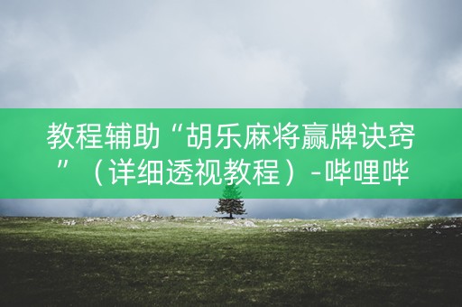 教程辅助“胡乐麻将赢牌诀窍”（详细透视教程）-哔哩哔哩