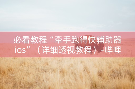 必看教程“牵手跑得快辅助器ios”（详细透视教程）-哔哩哔哩