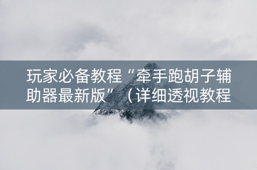 玩家必备教程“牵手跑胡子辅助器最新版”（详细透视教程）-哔哩哔哩