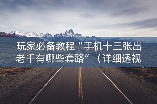 玩家必备教程“手机十三张出老千有哪些套路”（详细透视教程）-哔哩哔哩