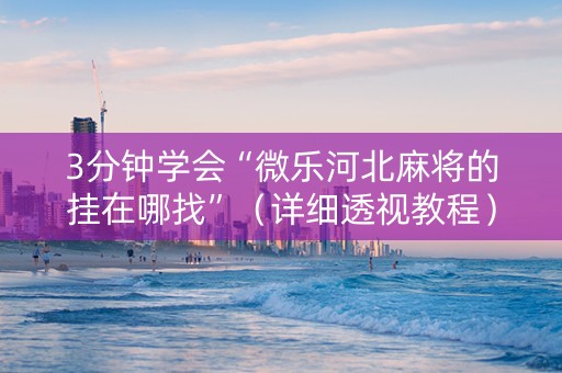 3分钟学会“微乐河北麻将的挂在哪找”（详细透视教程）-哔哩哔哩