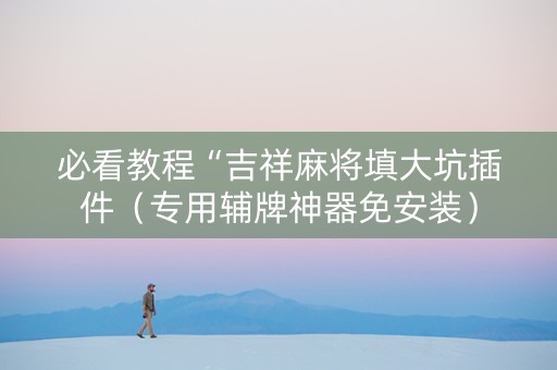 必看教程“吉祥麻将填大坑插件（专用辅牌神器免安装）