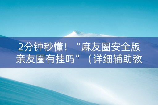 2分钟秒懂！“麻友圈安全版亲友圈有挂吗”（详细辅助教程）-哔哩哔哩
