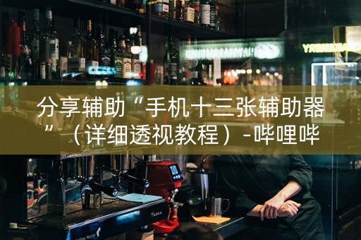 分享辅助“手机十三张辅助器”（详细透视教程）-哔哩哔哩