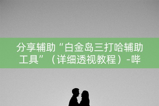 分享辅助“白金岛三打哈辅助工具”（详细透视教程）-哔哩哔哩