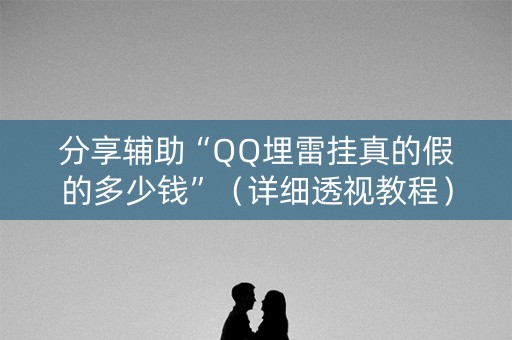 分享辅助“QQ埋雷挂真的假的多少钱”（详细透视教程）-哔哩哔哩