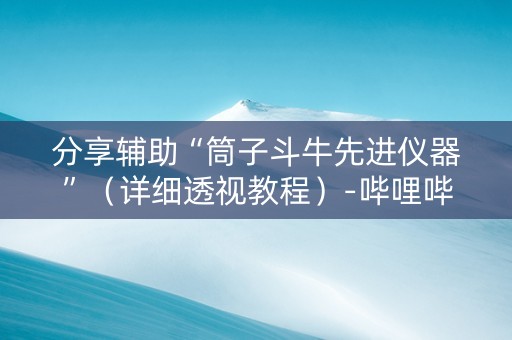 分享辅助“筒子斗牛先进仪器”（详细透视教程）-哔哩哔哩