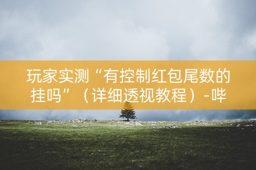 玩家实测“有控制红包尾数的挂吗”（详细透视教程）-哔哩哔哩