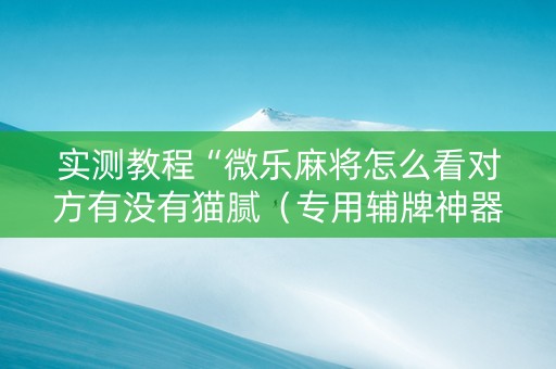 实测教程“微乐麻将怎么看对方有没有猫腻（专用辅牌神器免安装）