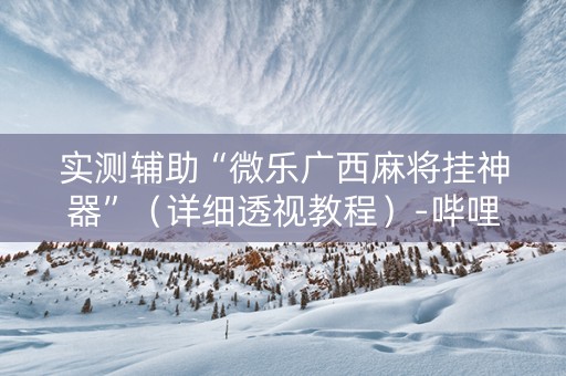 实测辅助“微乐广西麻将挂神器”（详细透视教程）-哔哩哔哩