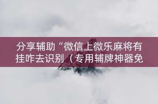分享辅助“微信上微乐麻将有挂咋去识别（专用辅牌神器免安装）