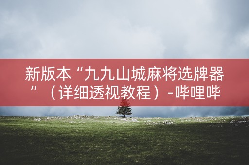 新版本“九九山城麻将选牌器”（详细透视教程）-哔哩哔哩