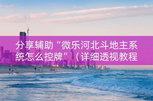 分享辅助“微乐河北斗地主系统怎么控牌”（详细透视教程）-哔哩哔哩