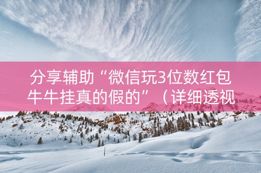 分享辅助“微信玩3位数红包牛牛挂真的假的”（详细透视教程）-哔哩哔哩