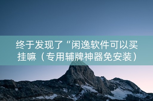 终于发现了“闲逸软件可以买挂嘛（专用辅牌神器免安装）