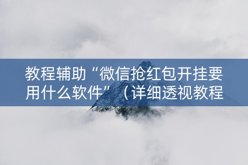 教程辅助“微信抢红包开挂要用什么软件”（详细透视教程）-哔哩哔哩