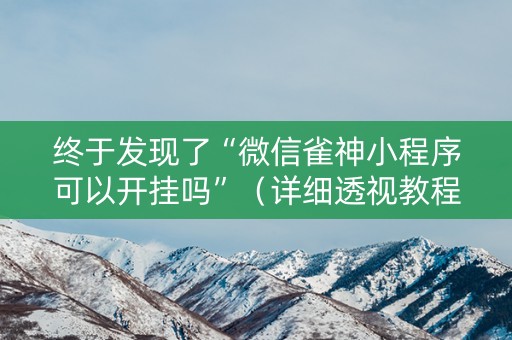 终于发现了“微信雀神小程序可以开挂吗”（详细透视教程）-哔哩哔哩