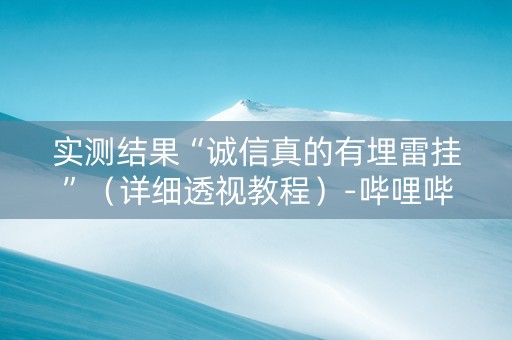 实测结果“诚信真的有埋雷挂”（详细透视教程）-哔哩哔哩